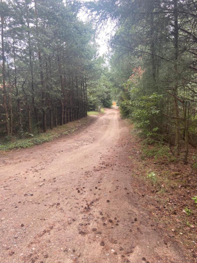 Domek Nad Jeziorem Kamien 2A Kowalewo Exteriör bild